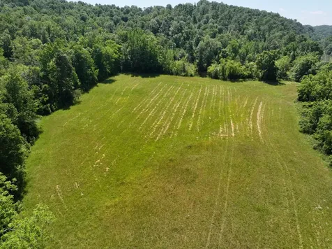 110 Wade Reed Road White Bluff TN 37187