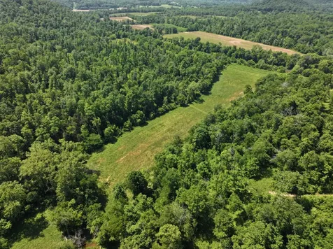 110 Wade Reed Road White Bluff TN 37187
