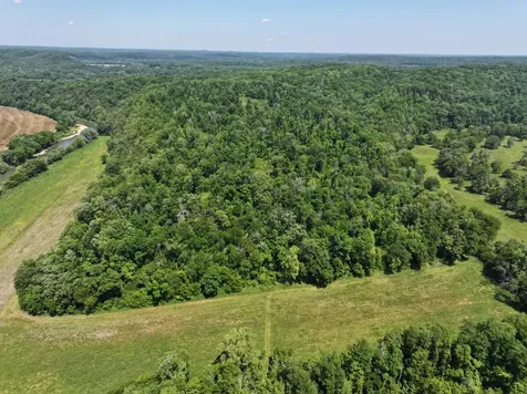 110 Wade Reed Road White Bluff TN 37187