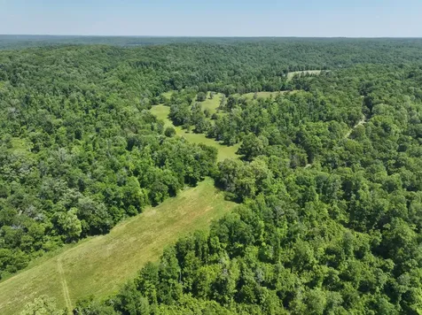 110 Wade Reed Road White Bluff TN 37187