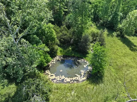 110 Wade Reed Road White Bluff TN 37187