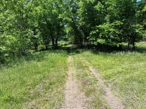 110 Wade Reed Road White Bluff TN 37187