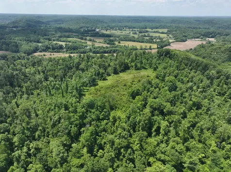 110 Wade Reed Road White Bluff TN 37187
