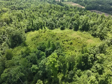 110 Wade Reed Road White Bluff TN 37187