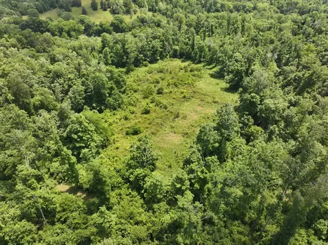110 Wade Reed Road White Bluff TN 37187