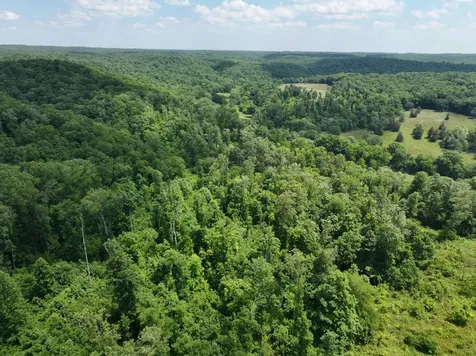 110 Wade Reed Road White Bluff TN 37187