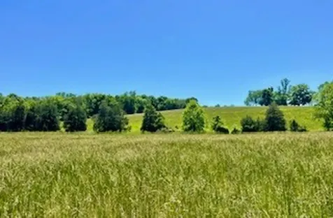 110 Wade Reed Road White Bluff TN 37187