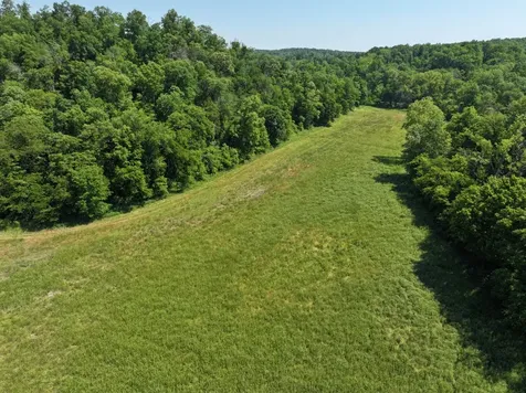 110 Wade Reed Road White Bluff TN 37187