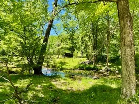110 Wade Reed Road White Bluff TN 37187