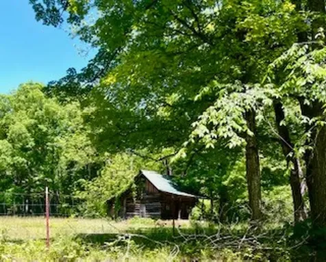 110 Wade Reed Road White Bluff TN 37187