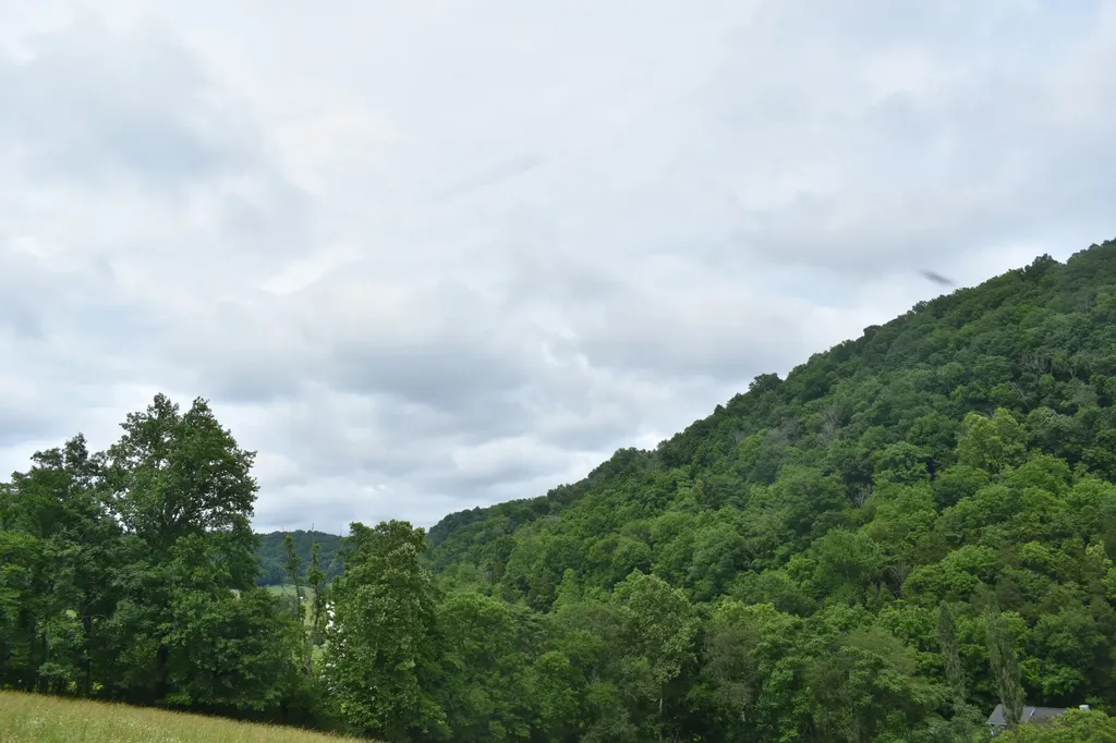 0 Pleasant Shade Highway Pleasant Shade TN 37145