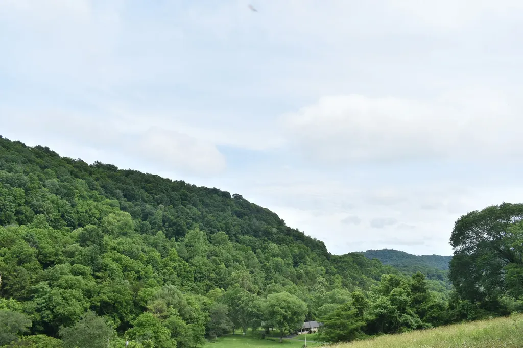 0 Pleasant Shade Highway Pleasant Shade TN 37145