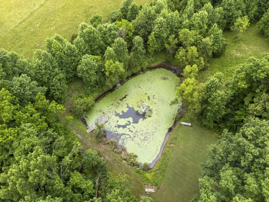 1100 Mill Road Dickson TN 37055