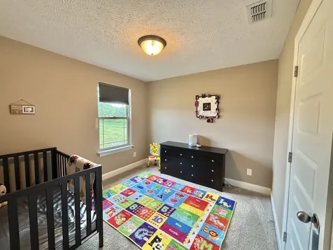 2010 Haystack Court Christiana TN 37037
