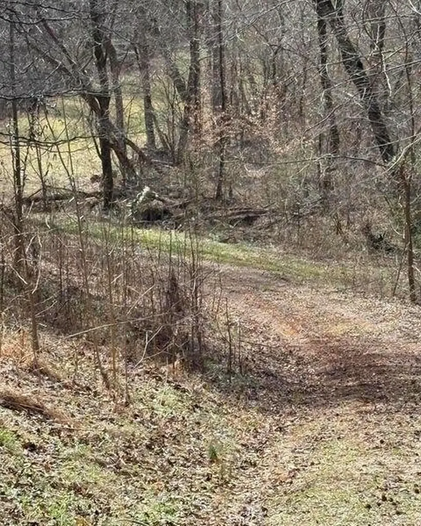 809 State Highway 310 Englewood TN 37329