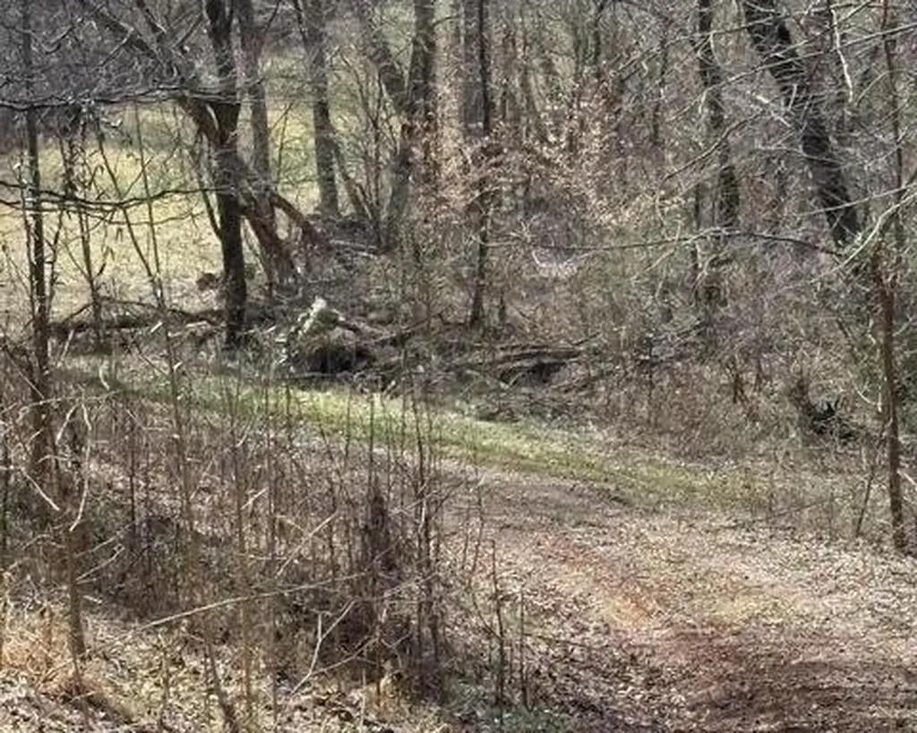 809 State Highway 310 Englewood TN 37329