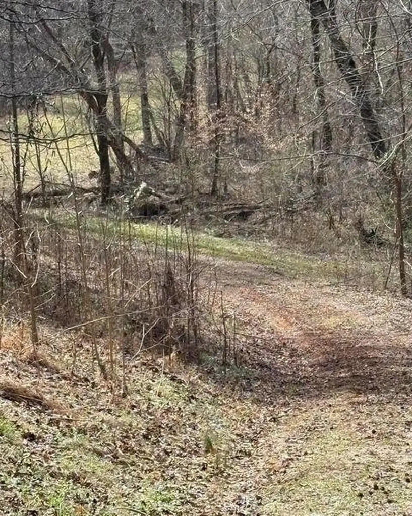 809 State Highway 310 Englewood TN 37329