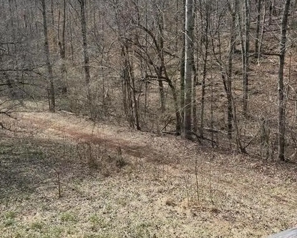 809 State Highway 310 Englewood TN 37329