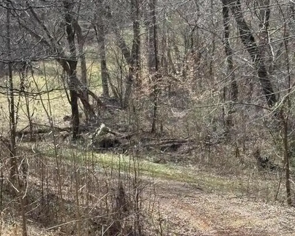 809 State Highway 310 Englewood TN 37329