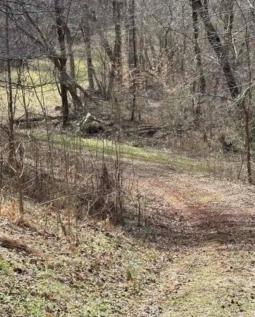 809 State Highway 310 Englewood TN 37329