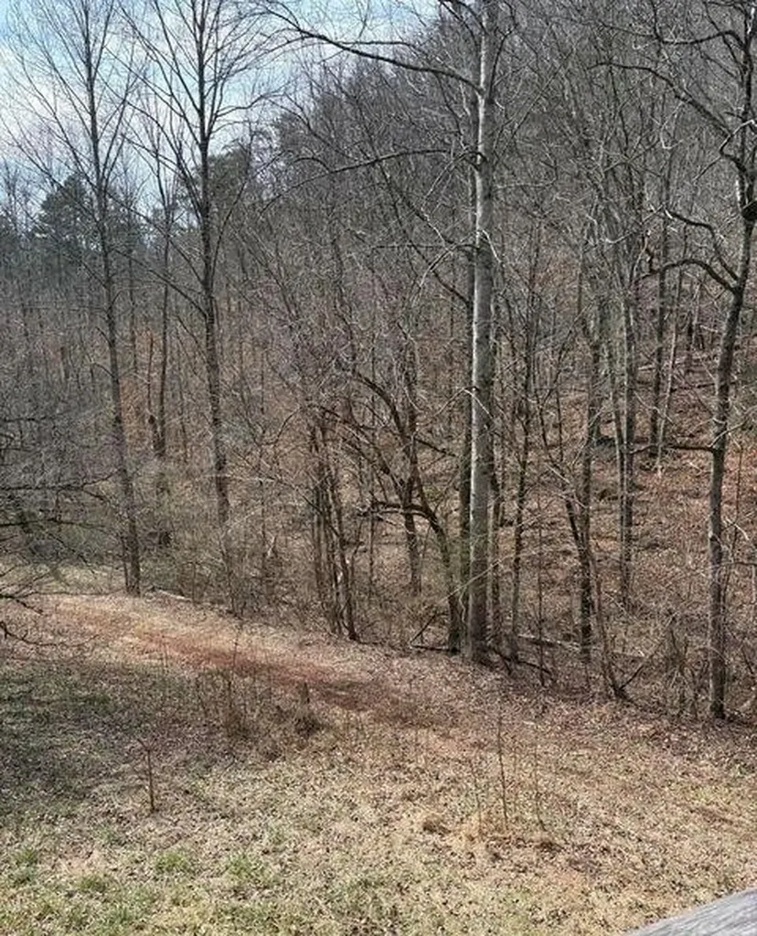 809 State Highway 310 Englewood TN 37329