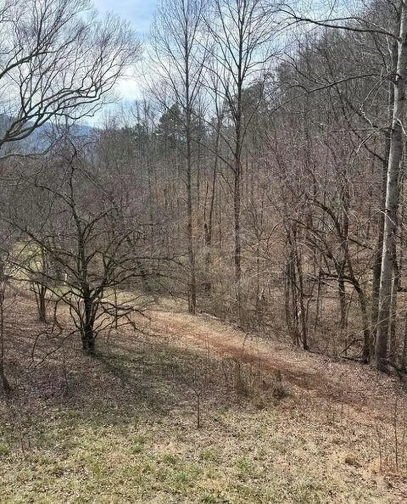 809 State Highway 310 Englewood TN 37329