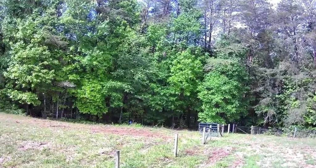 188 Dalton Tellico Plains TN 37385
