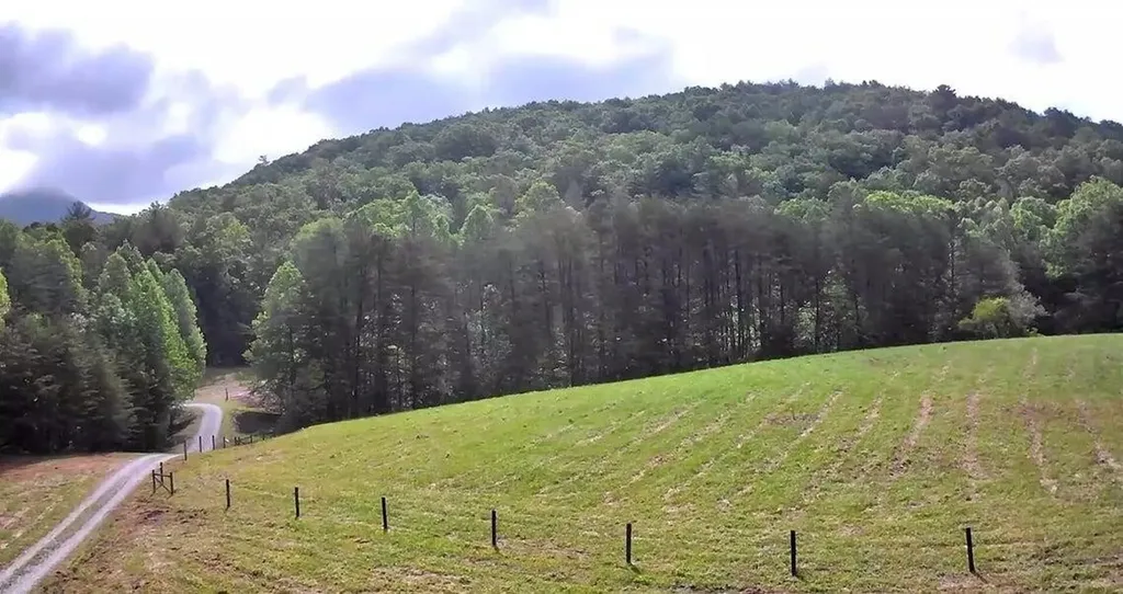 188 Dalton Tellico Plains TN 37385