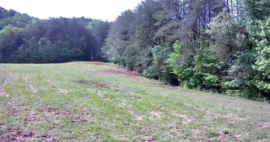 188 Dalton Tellico Plains TN 37385
