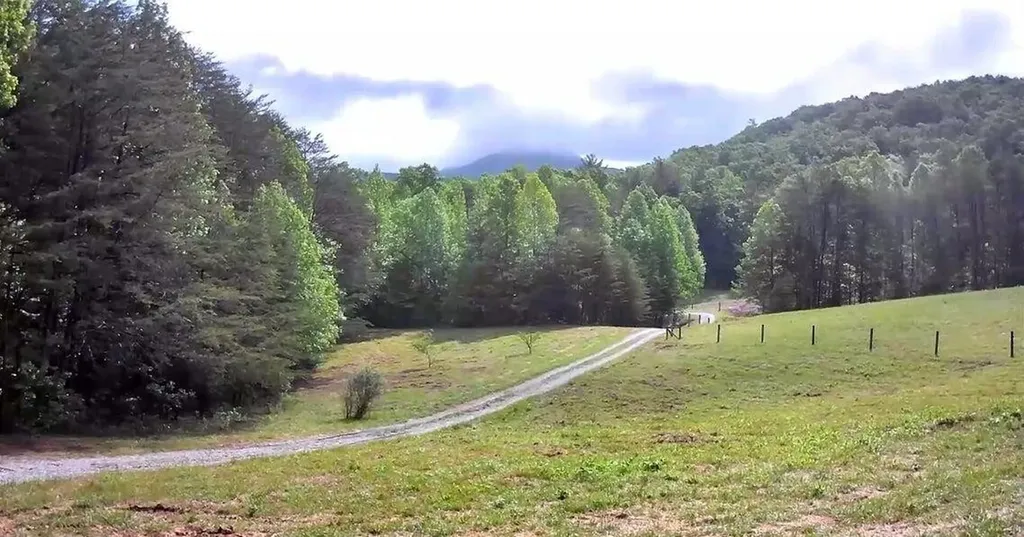 188 Dalton Tellico Plains TN 37385