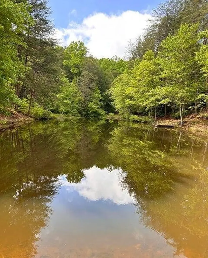 188 Dalton Tellico Plains TN 37385