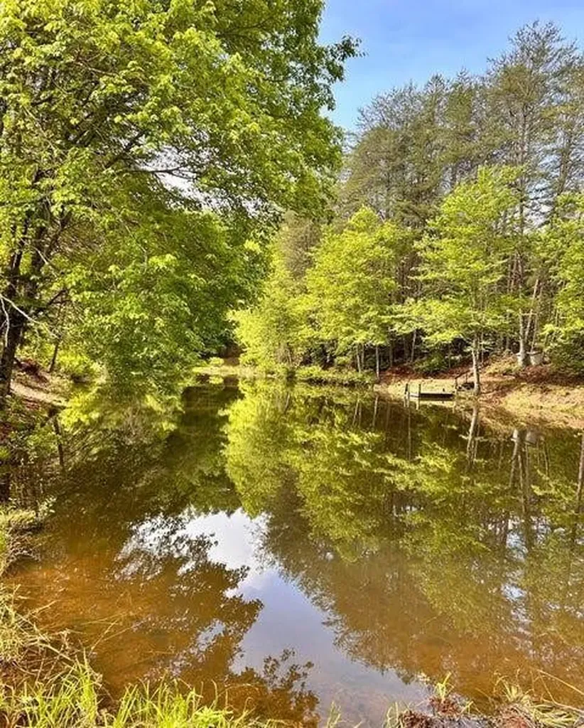 188 Dalton Tellico Plains TN 37385
