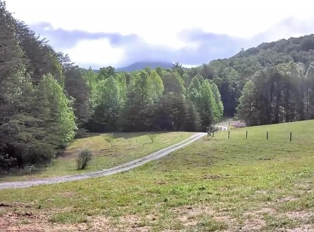 188 Dalton Tellico Plains TN 37385