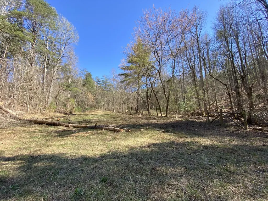 188 Dalton Tellico Plains TN 37385