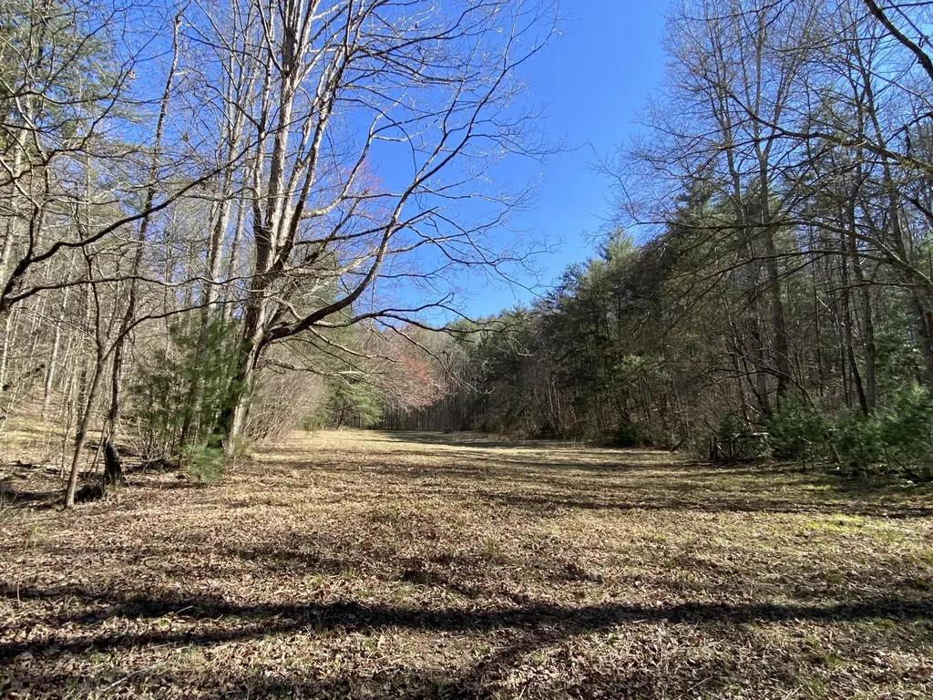 188 Dalton Tellico Plains TN 37385