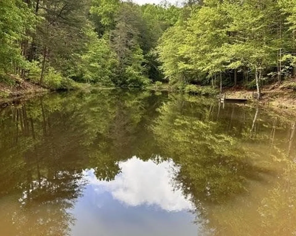 188 Dalton Tellico Plains TN 37385