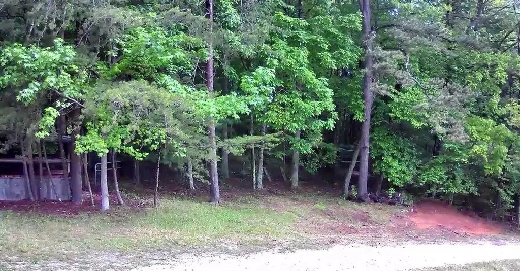188 Dalton Tellico Plains TN 37385