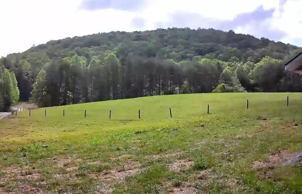 188 Dalton Tellico Plains TN 37385