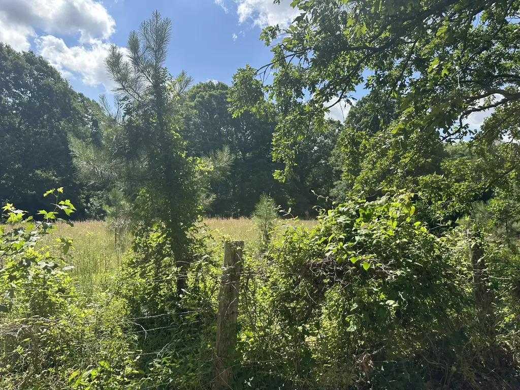 355 Albert Ivy Lane Parsons TN 38363