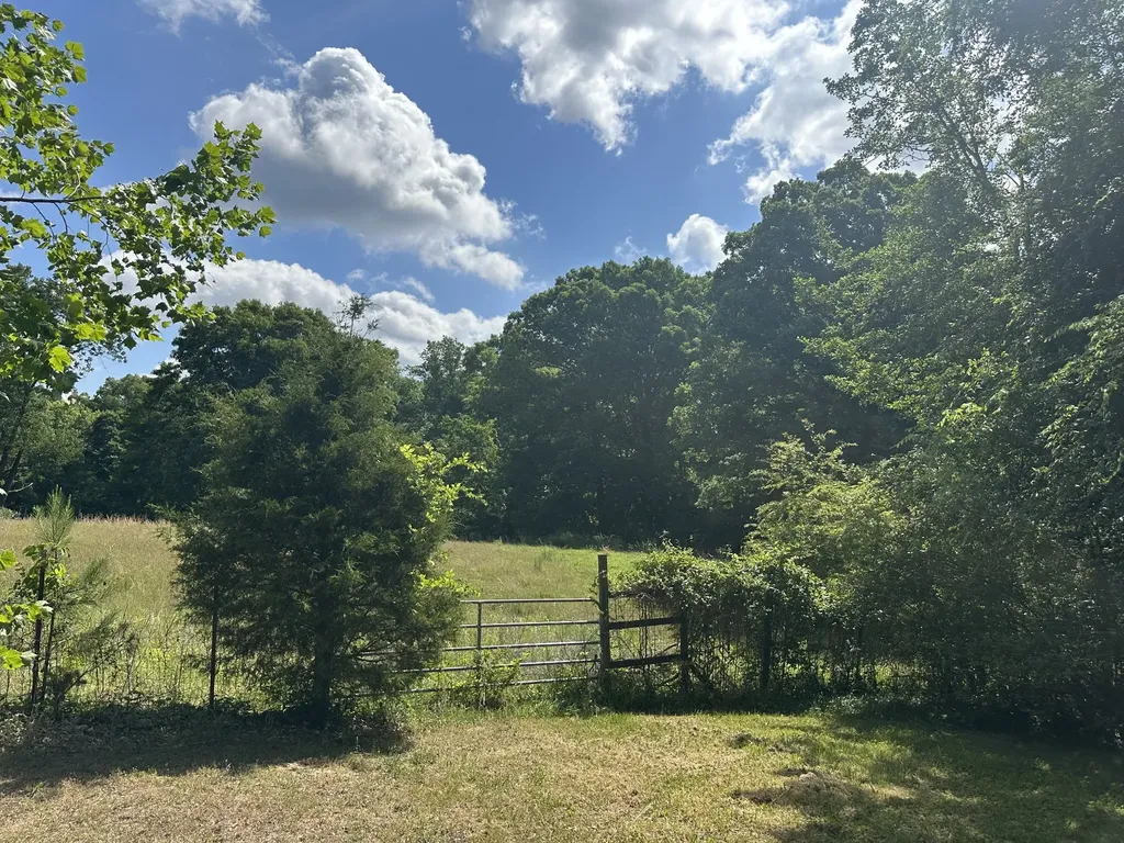 355 Albert Ivy Lane Parsons TN 38363