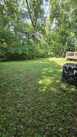 110 Cherry Street Centerville TN 37033