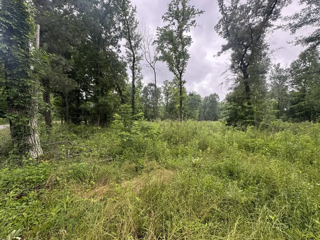 0 Spur Road Decherd TN 37324