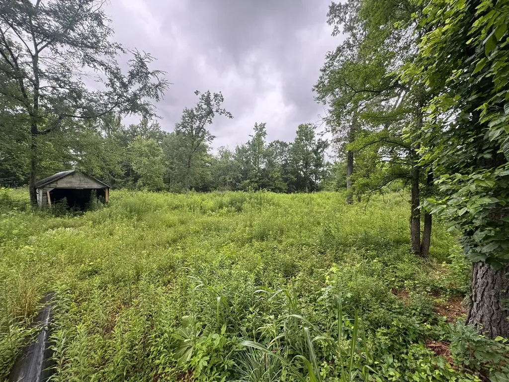 0 Spur Road Decherd TN 37324
