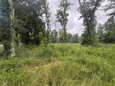 0 Spur Road Decherd TN 37324