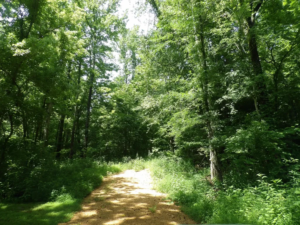 0 East Blue Creek Road Mc Ewen TN 37101