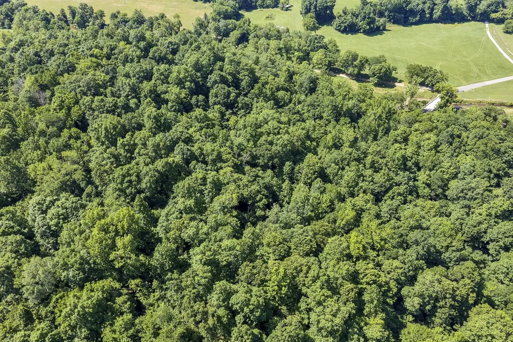 0 East Blue Creek Road Mc Ewen TN 37101