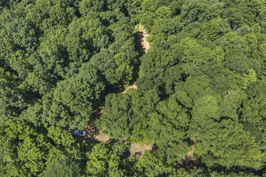 0 East Blue Creek Road Mc Ewen TN 37101