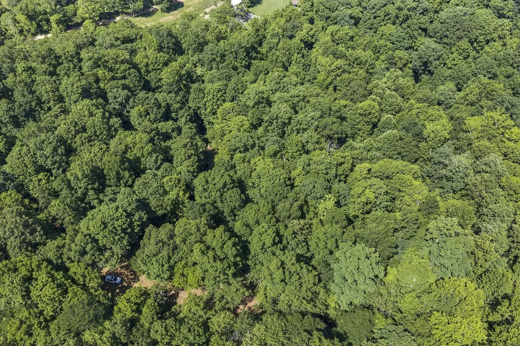 0 East Blue Creek Road Mc Ewen TN 37101