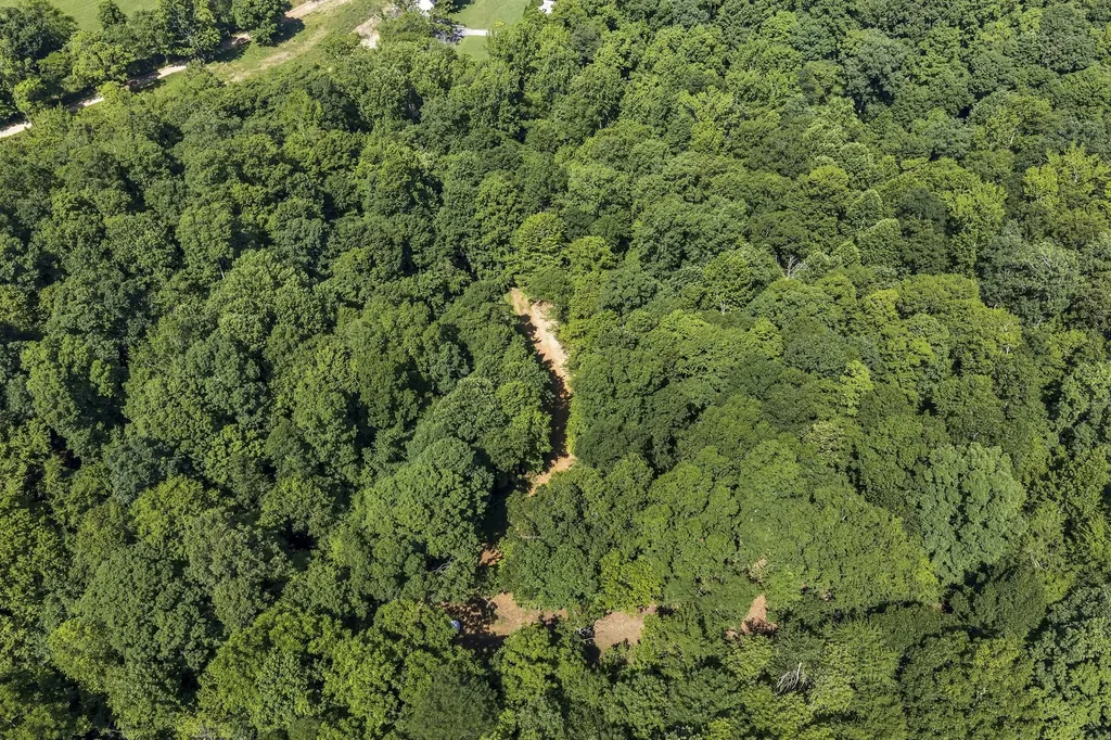 0 East Blue Creek Road Mc Ewen TN 37101