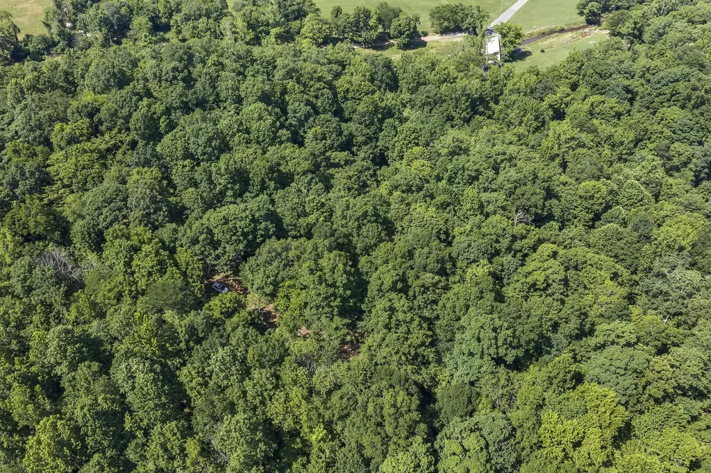 0 East Blue Creek Road Mc Ewen TN 37101